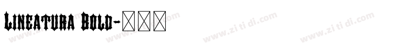Lineatura Bold字体转换